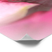 水ポスターに浮かぶピンクのバラの花びら ポスター (角)