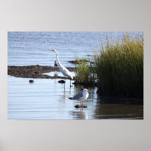 水ポスターの鳥 ポスター (正面)