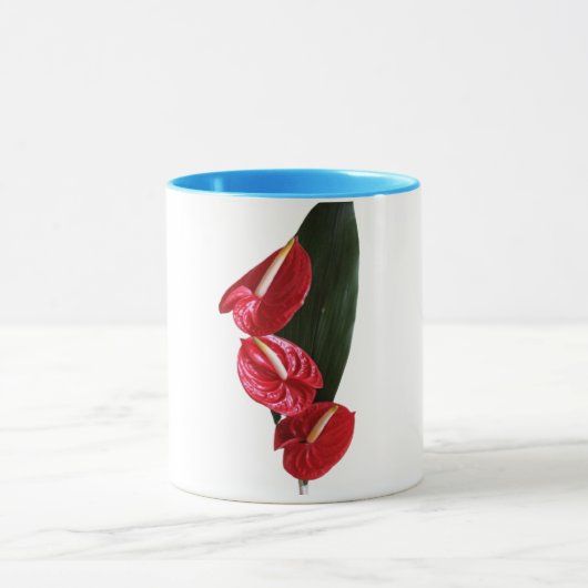 水マグ マグカップ (中央)