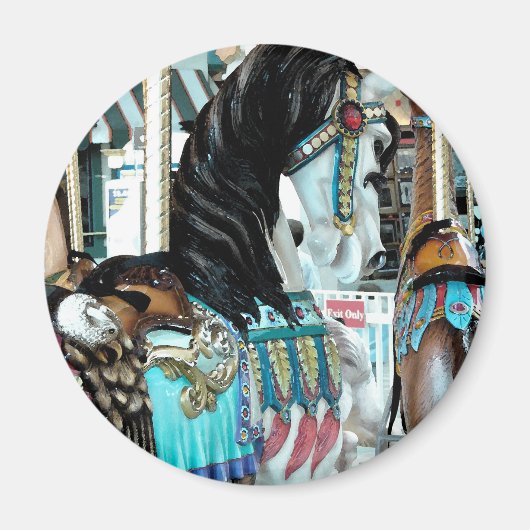 水メリー色の丸い馬 マグネット (正面)