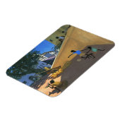 水メロンハムケニア1995 マグネット (左側)