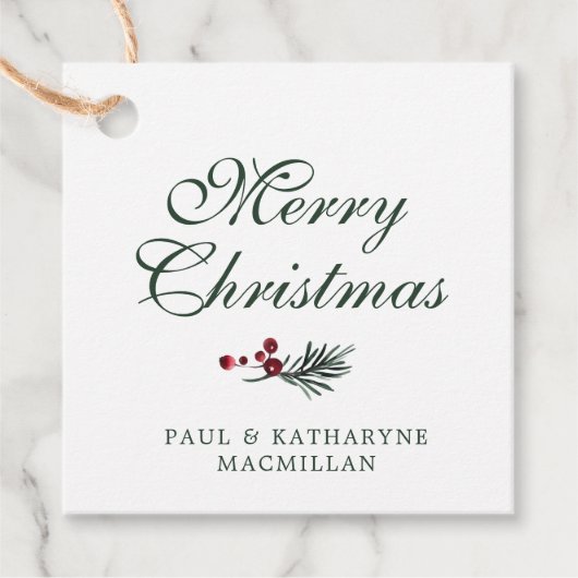 水モダンエレガント色の植物性クリスマス フェイバータグ (正面)