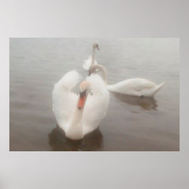 水モダン色エレガントダヌベの白鳥 ポスター