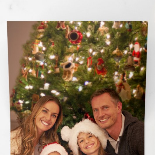 水モダン色クリスマスボタニカルツーフォト 三つ折りクリスマスカード (内部最初)