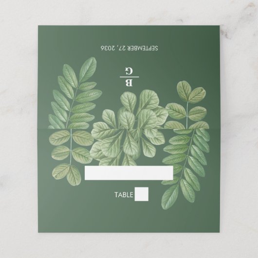水モダン色グリーナリーエメラルドグリーン結婚ズ プレイスカード (外部開封)