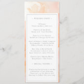 水モダン色ピーチフローラ結婚ズ プログラム (裏面)