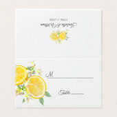 水モダン色レモンサマー結婚ズプレイス (外部フラット)