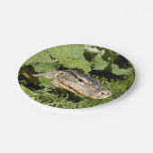 水モニタのトカゲ ペーパープレート (アングル)