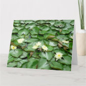 水ユリ カード (正面)