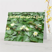 水ユリ カード (黄色い花)