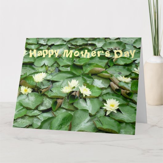 水ユリ カード (正面)