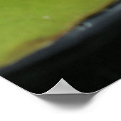 水ユリ ポスター (角)