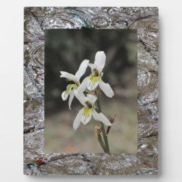 水リップル雨滴の贈り物 フォトプラーク