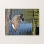 水上のアヒルの鳥自然撮影 ジグソーパズル (横)
