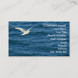 水上のカモメ飛行中に 名刺
