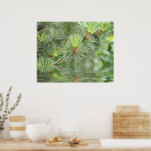 水上の松の木の針 ポスター (キッチン)