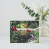 水上の鳥はがき ポストカード (スタンド正面)