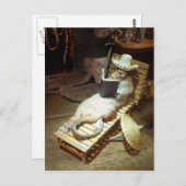 水上ネズミが船上生活を楽しむ ポストカード (正面/裏面)