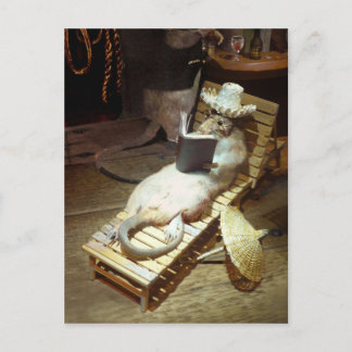 水上ネズミが船上生活を楽しむ ポストカード