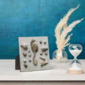 水上用砲弾 フォトプラーク (インサイチュ)