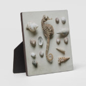 水上用砲弾 フォトプラーク (正面)