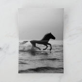 水上馬グリーティングカードにサンライズ馬 カード (内部)