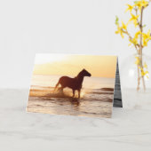 水上馬グリーティングカードにサンライズ馬 カード (黄色い花)