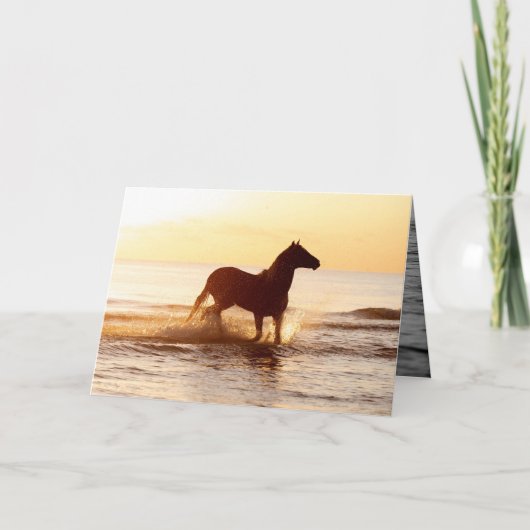 水上馬グリーティングカードにサンライズ馬 カード (正面)