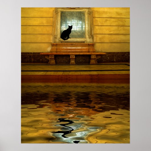 水上黒猫 ポスター (正面)