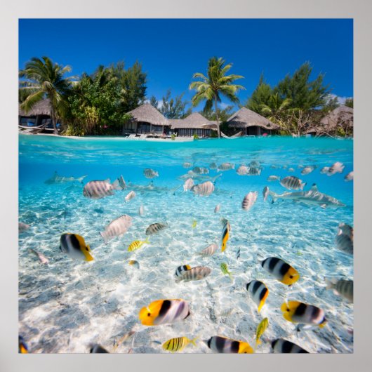 水下および水上の熱帯島 ポスター (正面)