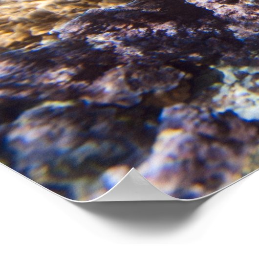 水下および水上の熱帯島 ポスター (角)