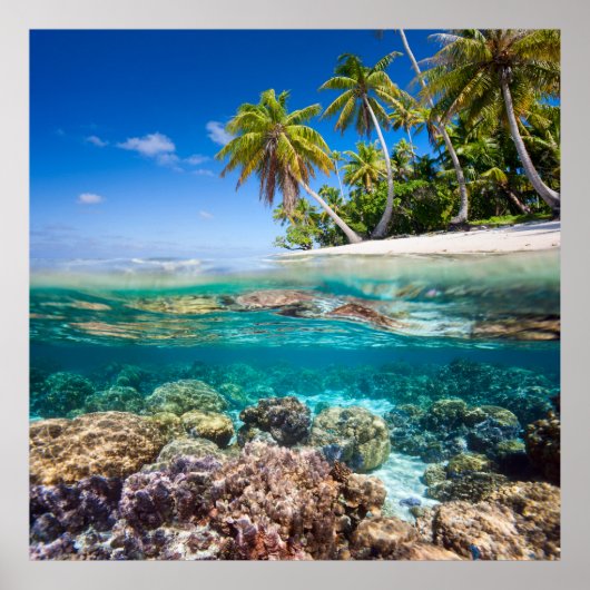 水下および水上の熱帯島 ポスター (正面)