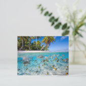 水下および水上の熱帯島 ポストカード (スタンド正面)