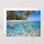 水下および水上の熱帯島 ポストカード (正面/裏面)