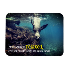 水中おもしろいライオン マグネット