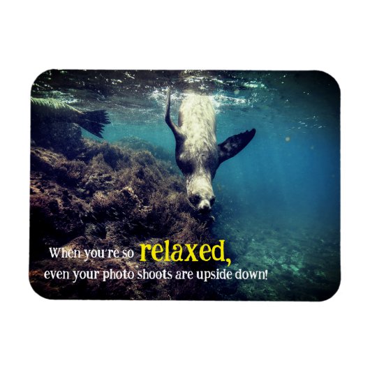 水中おもしろいライオン マグネット (横)