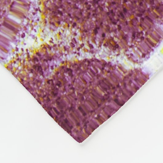 水中での砂の撮影 フリースブランケット (角)