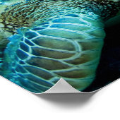 水中で休んでいるウミガメ ポスター (角)