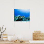 水中で休んでいるウミガメ ポスター (キッチン)