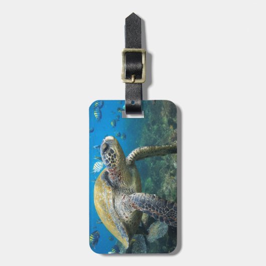 水中で泳ぐウミガメのガラパゴスパラダイス ラゲッジタグ (正面縦)