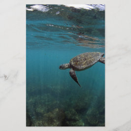 水中で泳ぐウミガメのガラパゴス諸島