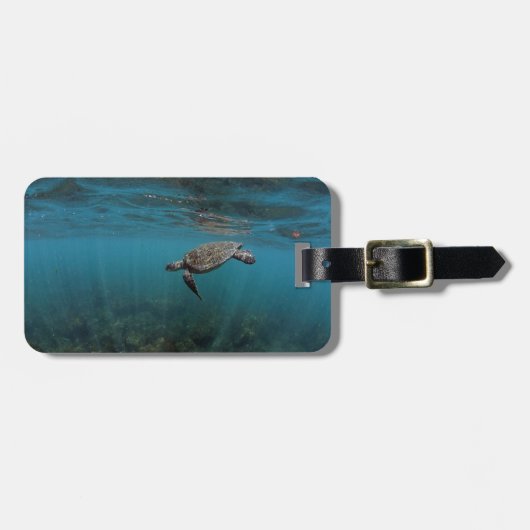 水中で泳ぐウミガメのガラパゴス諸島 ラゲッジタグ (正面横)