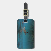 水中で泳ぐウミガメのガラパゴス諸島 ラゲッジタグ (正面縦)