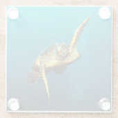 水中で泳ぐウミガメ ガラスコースター (裏面)