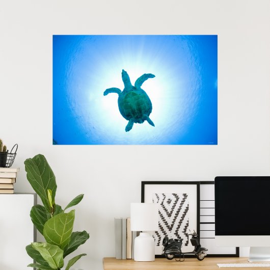 水中で泳ぐウミガメ ポスター (ホームオフィス)