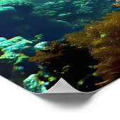 水中で泳ぐウミガメ ポスター (角)