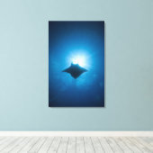 水中で泳ぐマンタ キャンバスプリント (インサイチュ (ウッドフロア))