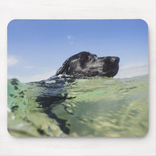 水中で泳ぐ犬 マウスパッド (正面)