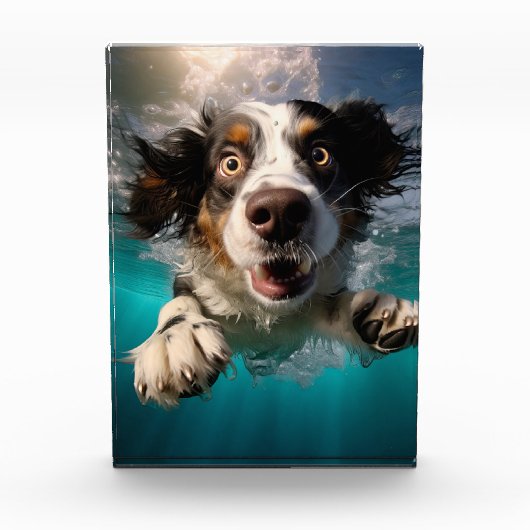 水中で泳ぐ興奮した犬のデザイン フォトブロック (正面)