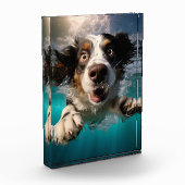 水中で泳ぐ興奮した犬のデザイン フォトブロック (左)